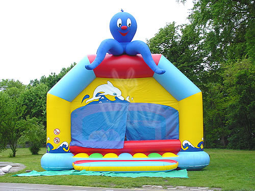 Inflatable dry pools