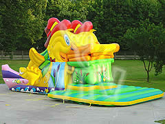 Inflatable slides-swallowers