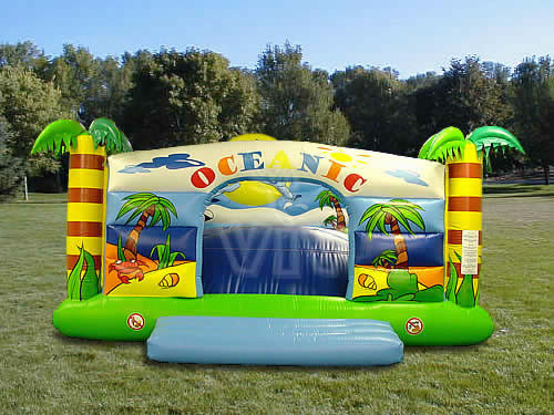 Oceanic Playground specials inflatable product photo